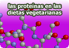 Proteínas en las dietas veganas y vegetarianas. Artículo de nutrición vegana y vegetariana