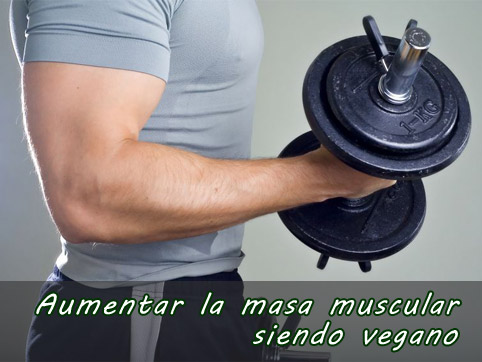 Cómo aumentar masa muscular siendo vegano - 
