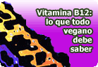Lo que todo vegano debe saber acerca de la vitamina B12 . Artículo de nutrición vegana y vegetariana